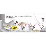 Accessories Accessories
