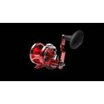 Reels Reels