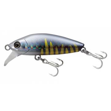 Shores Small Minnow Shores Small Minnow